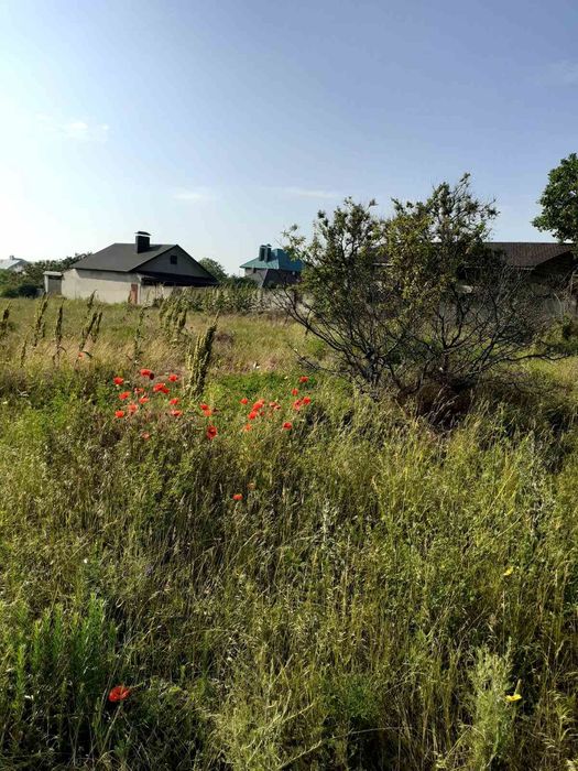 Продам землю сільськогосподарського призначення