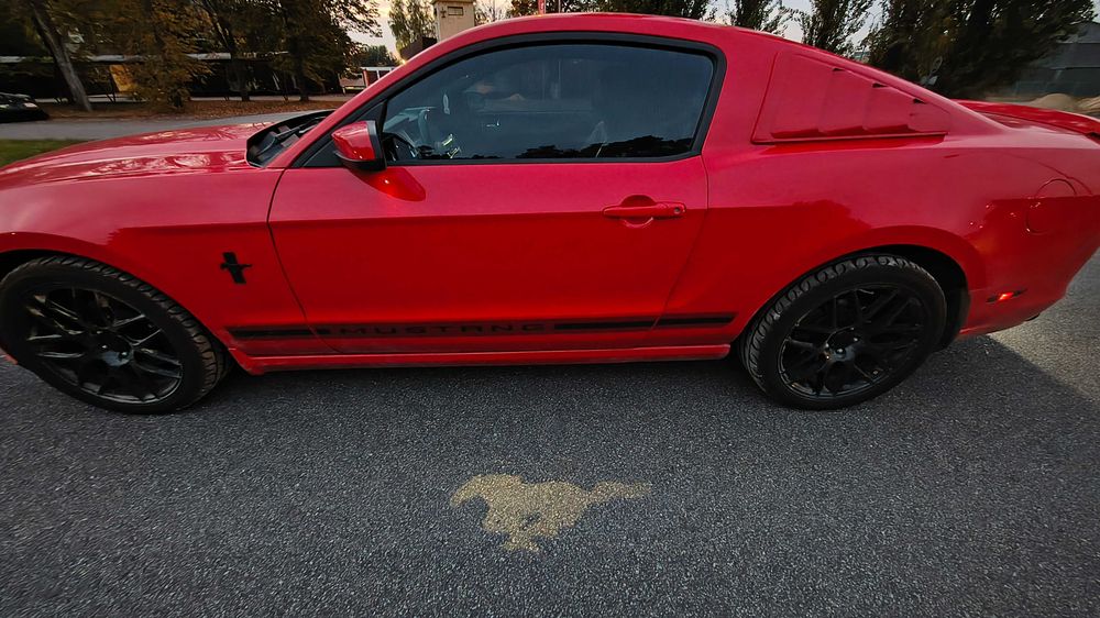 Ford mustang premium