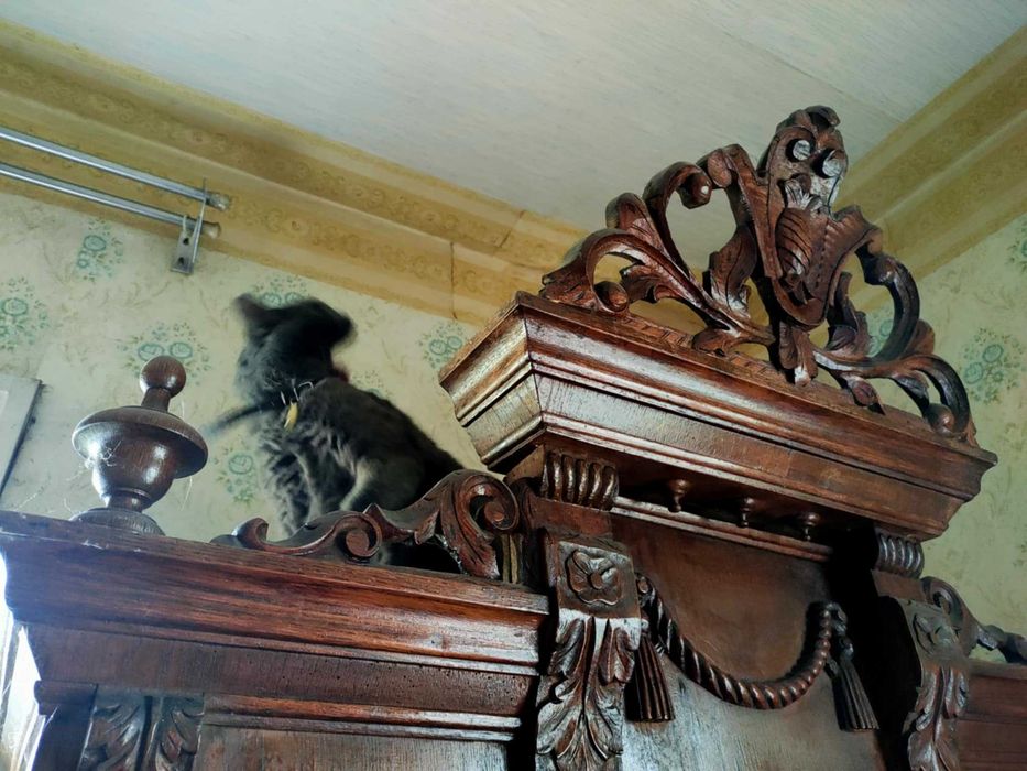 Продам 4 кімнатний будинок у місті Борзна Чернігівської області