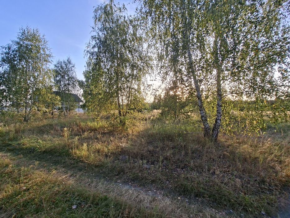 Ділянка 57 соток в класній локації біля лісу