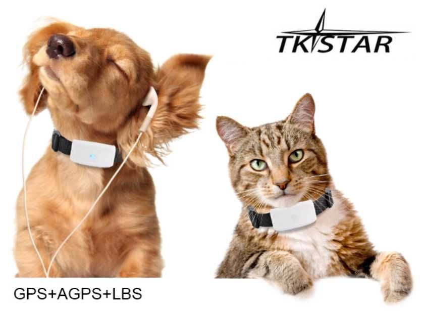 ТКSTAR ТК-911 Нашийник з GPS Трекером для Собак Tracker для Полювання