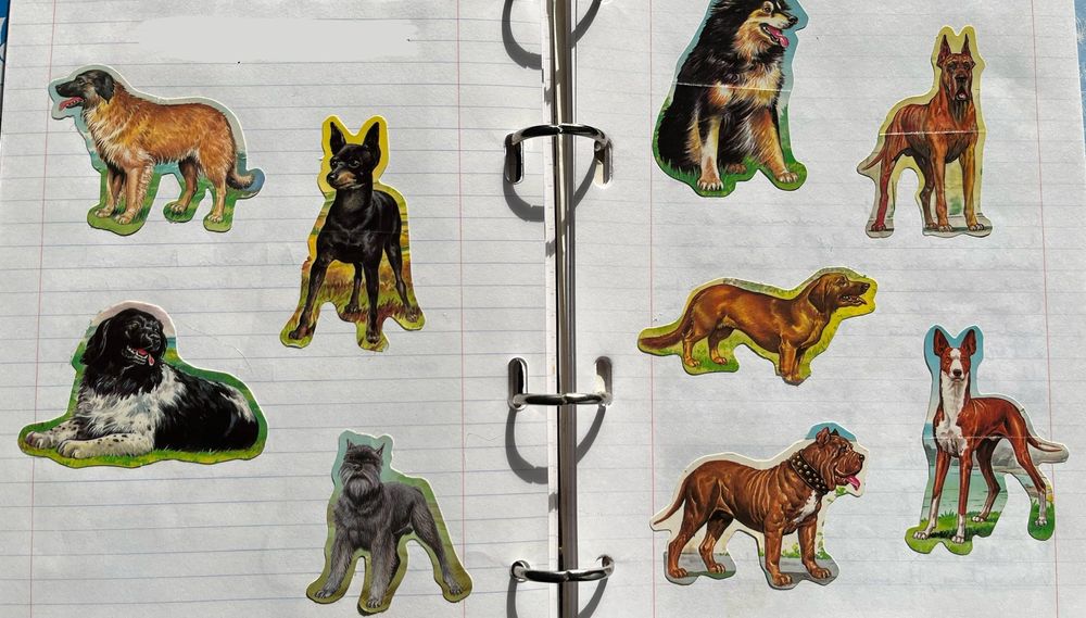 Coleções Bollycao e outros brindes