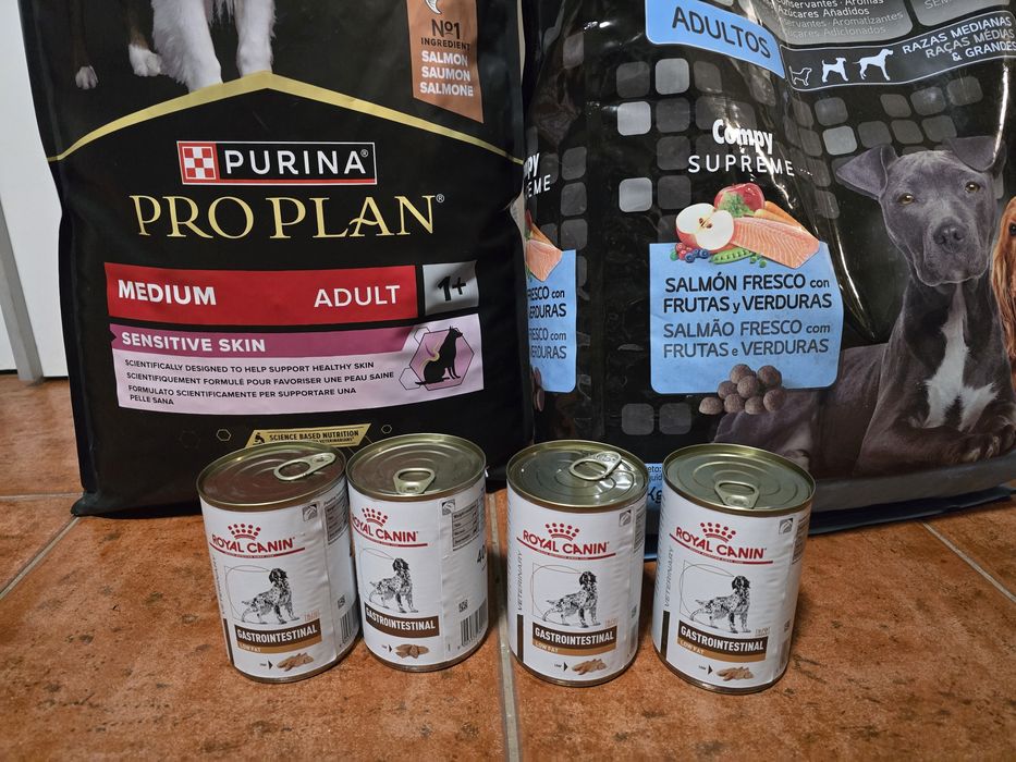 Acessórios e comida para cão