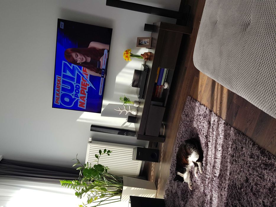 Półka rtv Black Red White kolekcja august