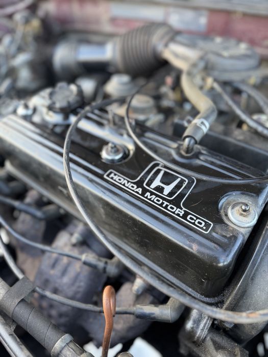 Honda Accord хозяйская на полном ходу