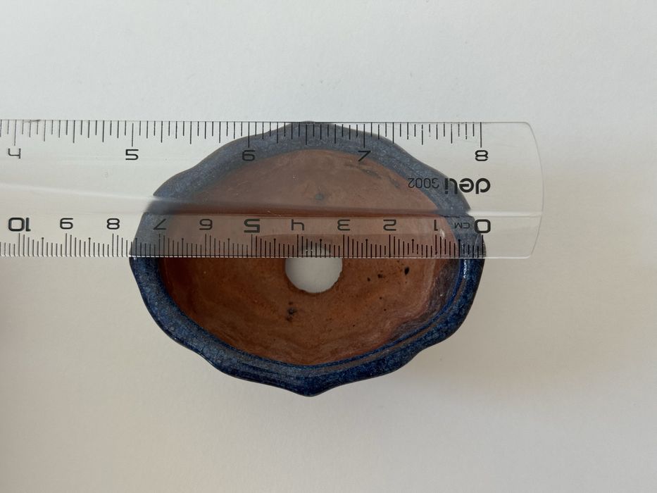 Горшик, плашка, бонсай