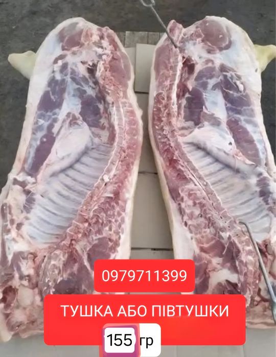 Свині,тушки , півтушки...