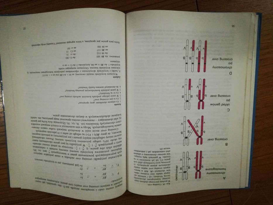 BIOLOGIA kl 3,4 podręcznik LO Gajewski