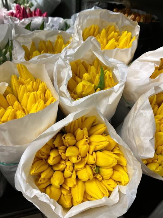 Тюльпаны оптом опт пачками цветы Одесса