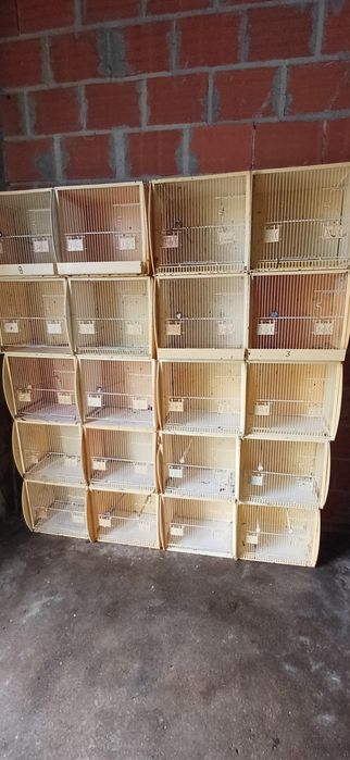Vendo gaiolas EX