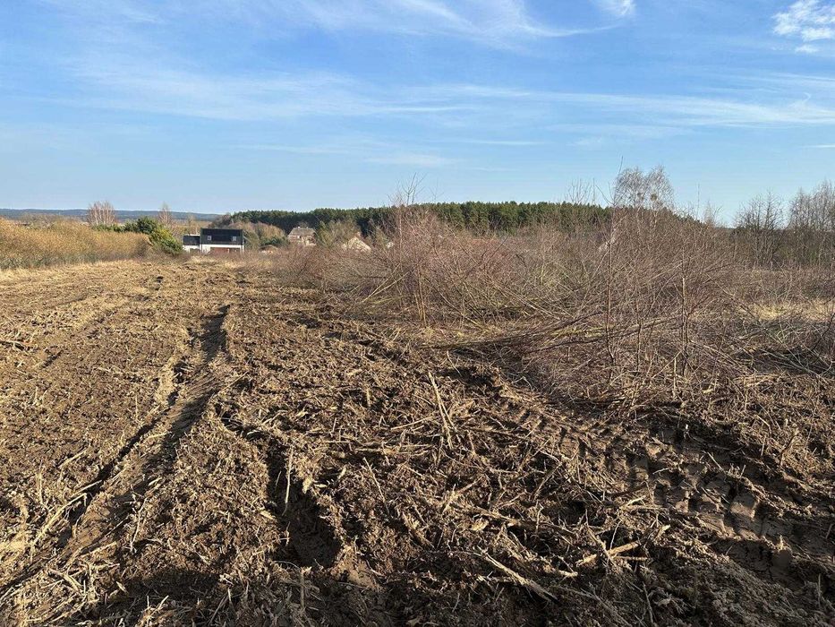Karczowanie działek | Mulczowanie | Usuwanie krzaków