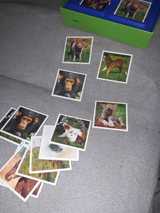 Karty edukacyjne dla dzieci