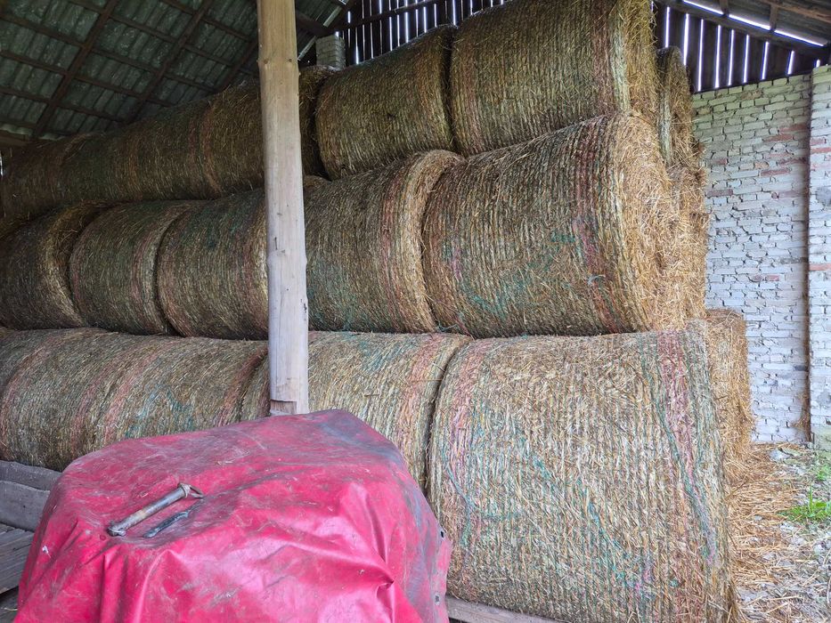Słoma balot 150 magazynowana pod dachem