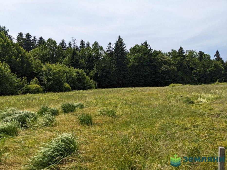 Продаж ділянки із виходом у ліс в с. Нова Гута (8)