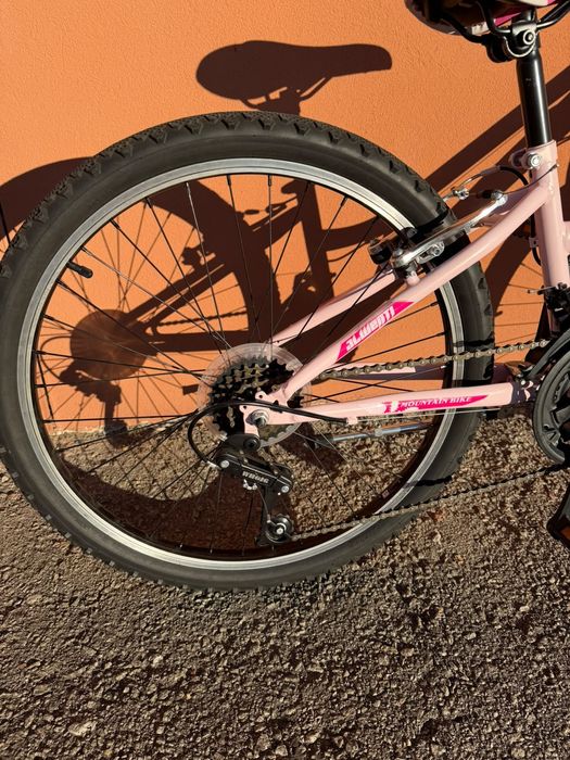 Bicicleta rosa (estilo passio/montanha)