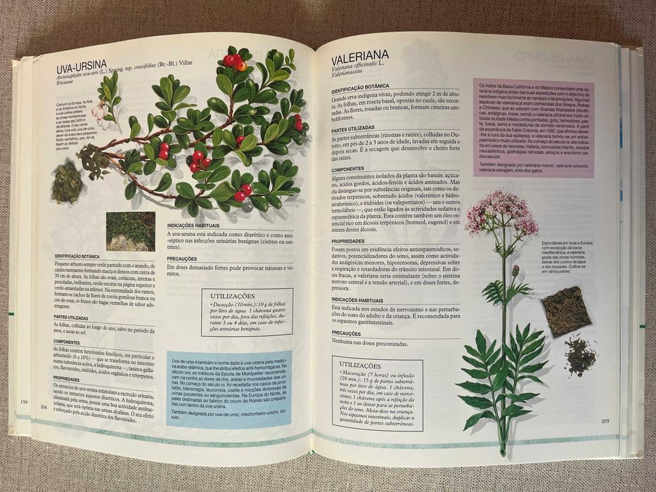 Guia Prático De Remédios e Tratamentos Naturais