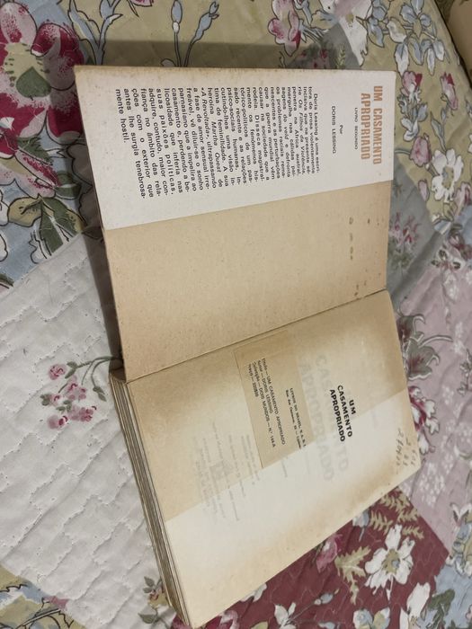 Livro Um casamento Apropriado, Doris Lessing