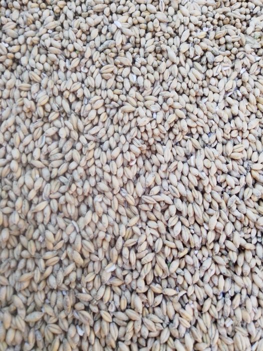 Przeżyto 2025.       .