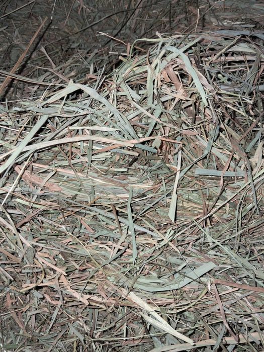 Siano sianko dla królika gryzoni króliki pokarm 5kg