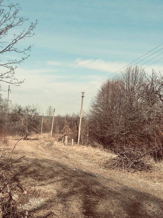 Продам будинок в Карпатах плюс гектар землі – pohled 5
