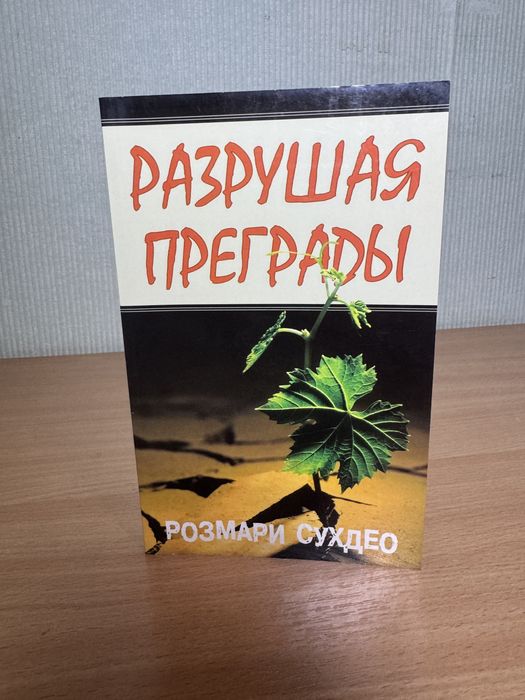 Книга «Разрушая преграды» — Розмари Сухдео