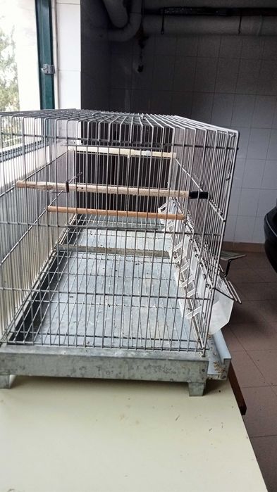 2  Gaiolas / da Malveira está como nova
