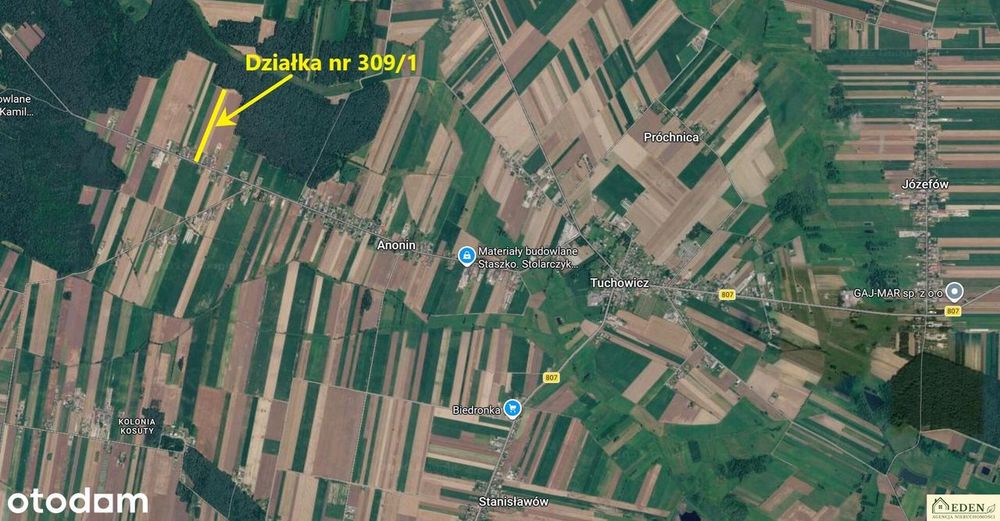 Sprzedam działke 1,08 Ha w Anoninie pod Tuchowiczem - Widok 4