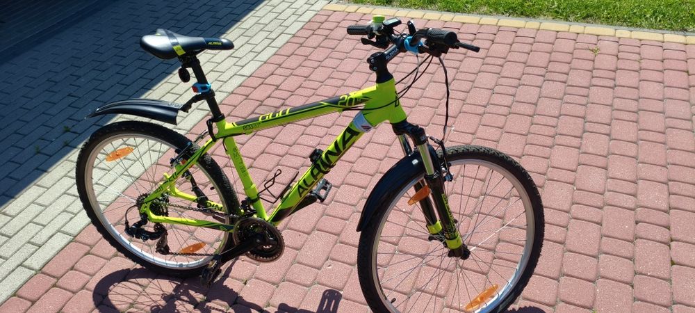 Kellys alpina eco