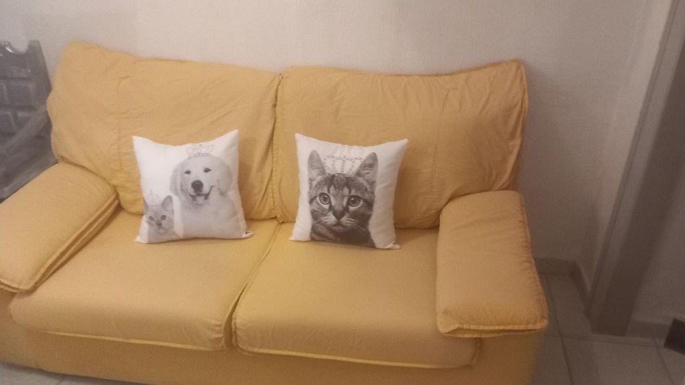 Sofá cama impecável