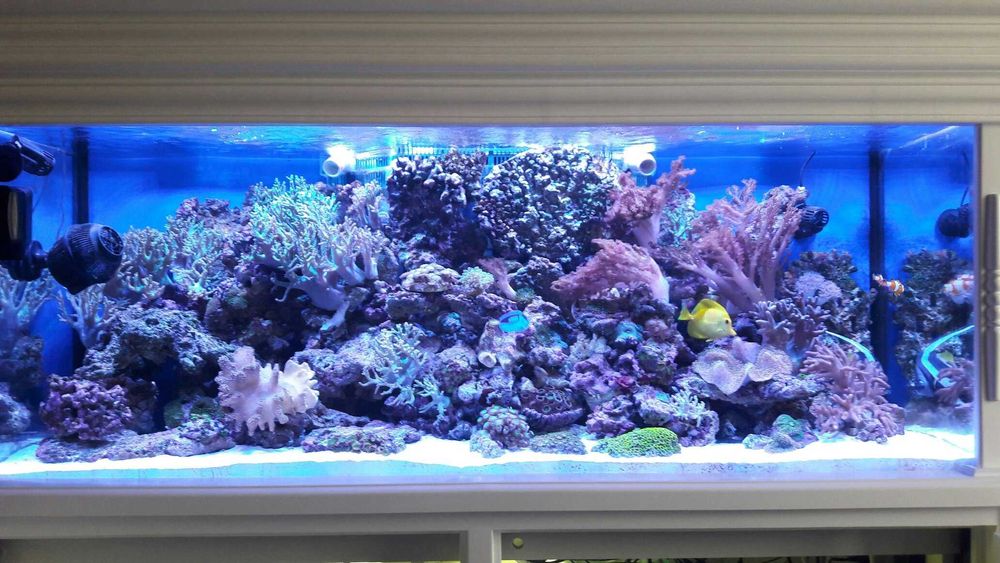 Светодиодный светильник LED для аквариума