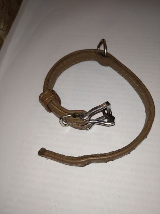 Ошийник  для песика, котика. 27 см.