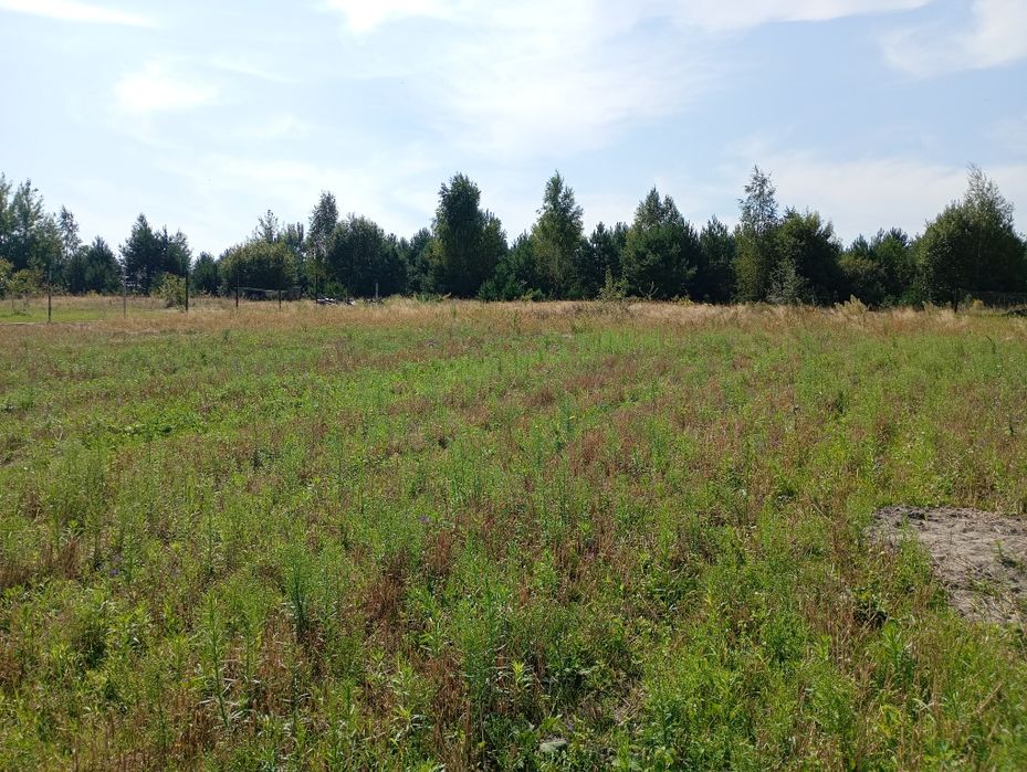 Продам земельну ділянку в 25 соток