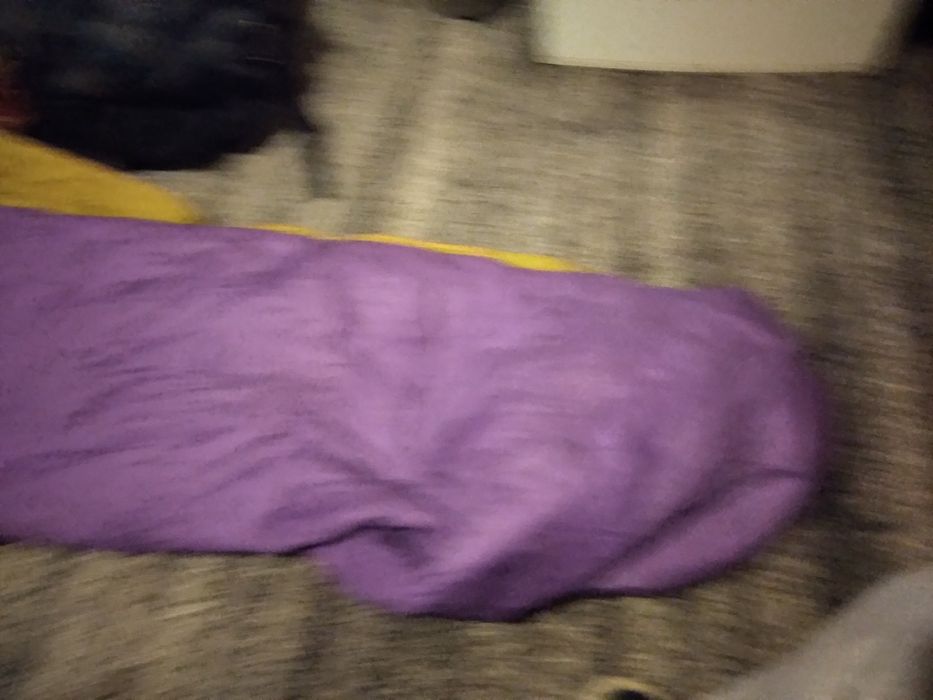 Sprzedam spiwór golde