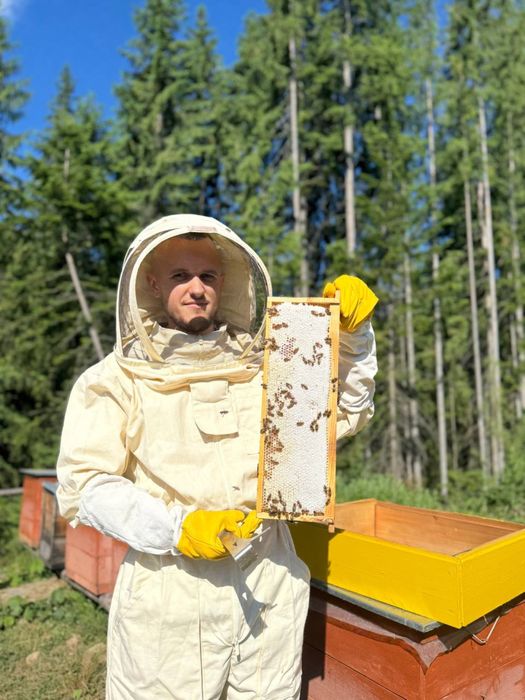 Гірський Мед з малини та ожини,соти