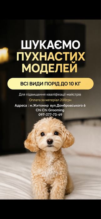 Шукаю моделей на грумінг