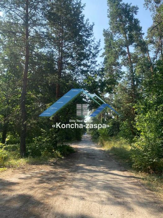 Ексклюзивна ділянка в лісовій частині. Козин. Конча Заспа