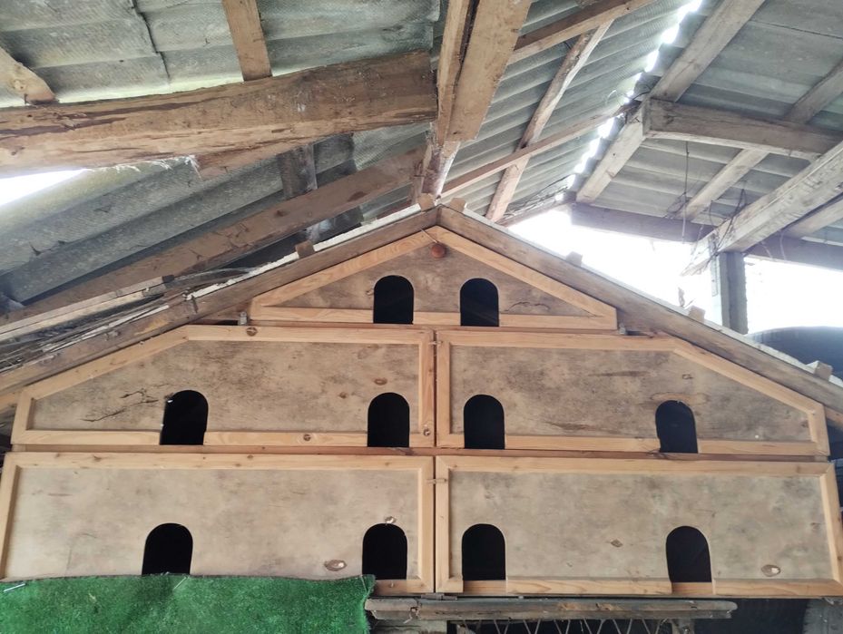 Gołębnik wolnostojący