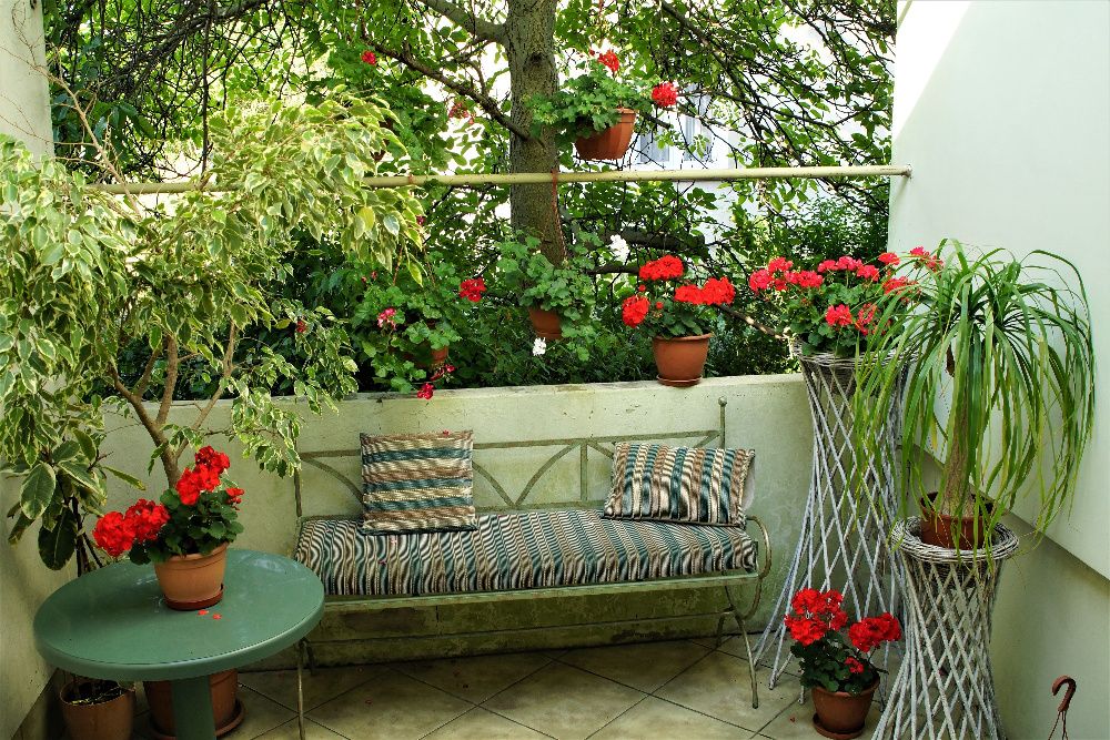 noclegi, kwatery, pokoje noclegowe w Opocznie