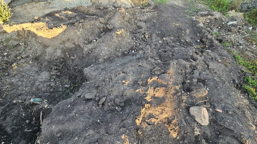 Humus / czarnoziem oddam za darmo