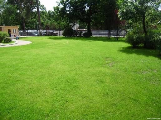 Ландшафтний дизайн,озеленення та догляд за ділянкою