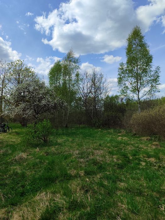 DUŻA DZIAŁKA 6370 M2 / Zielin, gm. Trzebielino | 2000 M2 budowlane | Domek | Uzbrojona - View 3