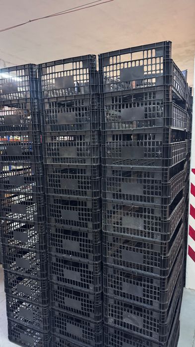 Lote de cestos / caixas plásticas para fruta