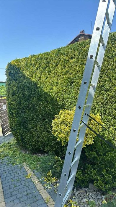 Usługi Ogrodnicze - W trosce o twój ogród