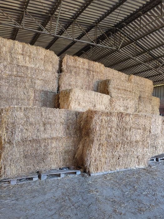Palha e feno 300kg