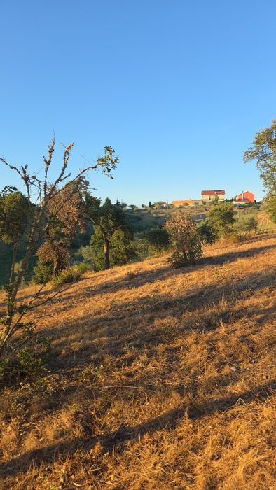 Terreno com 6.000 m² para venda – Excelente oportunidade Eivados/Mirandela