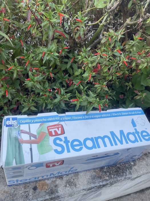 Ferro a vapor e escova steam mate