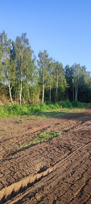 Mulczowanie  powierzchniowe i wgłębne