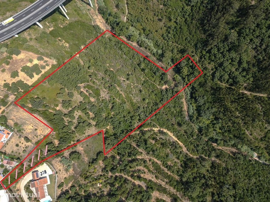 Terreno Misto, Longo da Vila