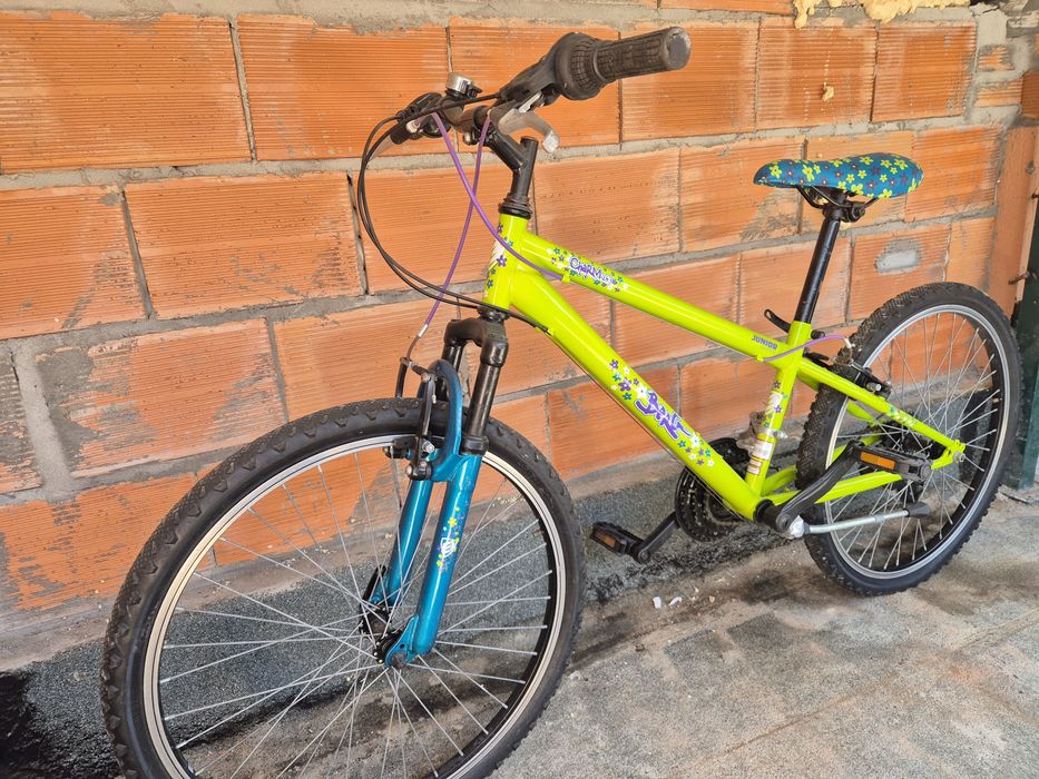 Bicicleta berg roda 26