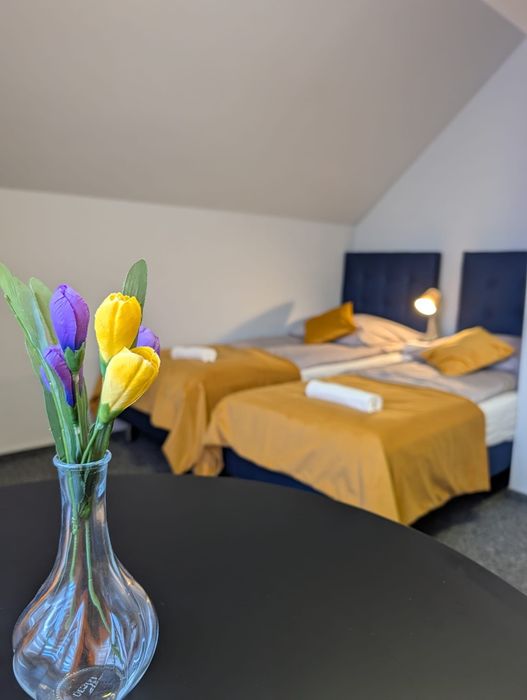 Pokoje gościnne, apartament, domek, kemping nad morzem! Pustkowo